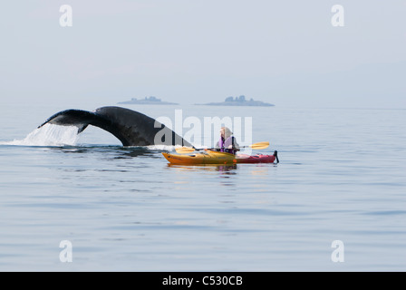 Buckelwal Flächen in der Nähe von einer Frau Seekajak in Frederick Sound, Inside Passage, südöstlichen Alaska, Sommer Stockfoto