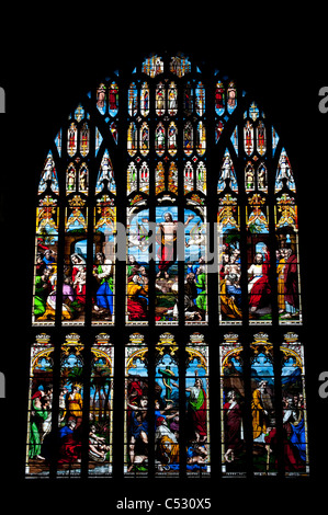 Atemberaubenden Glasfenster in Norwich Cathedral, East Anglia, England. Stockfoto
