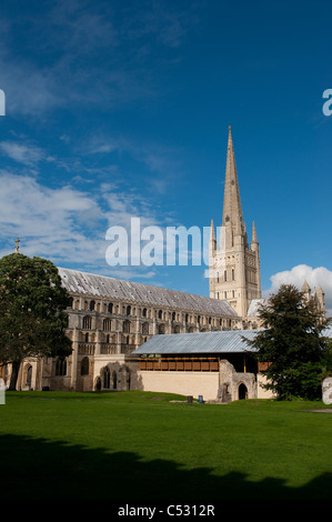 Norwich Cathedral, East Anglia, England. Stockfoto