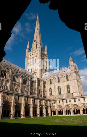 Turm und Süd Querschiff der schönen Norwich Cathedral, East Anglia, England. Stockfoto