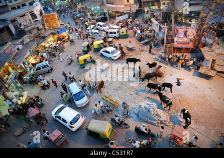 Eine Szene in Delhi, Indien Stockfoto