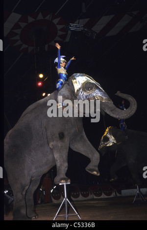 Durchführung von Tieren in einem Wanderzirkus Stockfoto