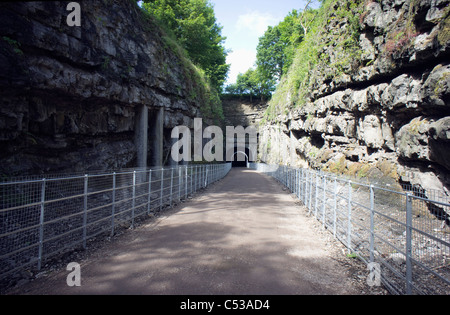 Östlichen Ende des neu eröffneten Eisenbahntunnels Grabstein auf dem monsal Trail in derbyshire Stockfoto