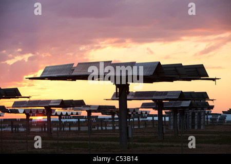 Photovoltaik-Module im Solucar solar Werk in Sanlucar la Mayor, Andalusien, Spanien. Stockfoto