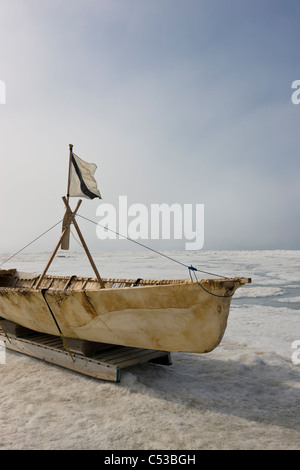 Inupiaq Eskimo Haut Boot von bärtigen Robbenfell ruht auf dem Ufer Eis der Tschuktschensee off Shore Barrow, Alaska Stockfoto