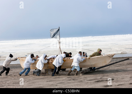 Walfang-Crew schiebt ihre Umiaq neben dem Chuchki Meer Eis am Ende des Walfangs Frühjahrssaison in Barrow, Alaska Arktis, Sommer Stockfoto