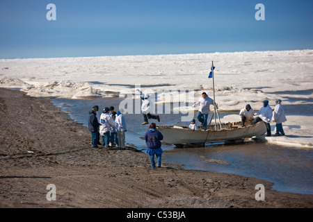 Walfang-Crew schiebt ihre Umiaq neben dem Chuchki Meer Eis am Ende des Walfangs Frühjahrssaison in Barrow, Alaska Arktis, Sommer Stockfoto