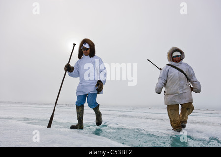 Inupiaq Eskimo Jäger tragen ein Gewehr und Gehstock bei einem Spaziergang über das Ufer Eis entlang der Tschuktschensee, Barrow, Alaska Stockfoto