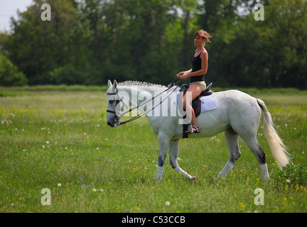 Frau zu Pferd auf einer Wiese Stockfoto