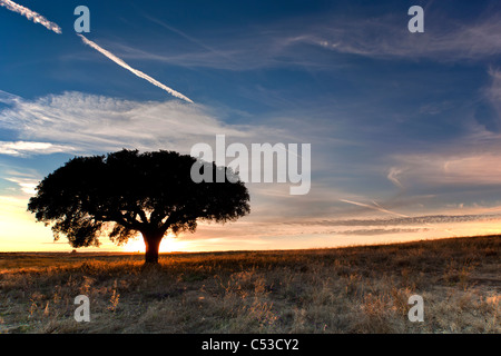 Sunet in Alentejo, Portugal, Europa Stockfoto