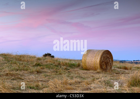 Sunet in Alentejo, Portugal, Europa Stockfoto