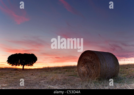 Sunet in Alentejo, Portugal, Europa Stockfoto