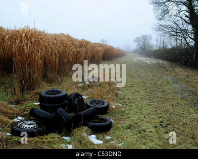 Altreifen entsorgt illegal auf Ackerland. Stockfoto