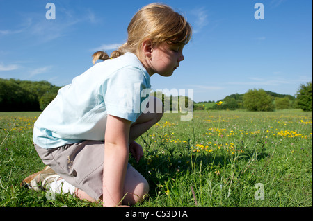 Junges Mädchen in t Shirt sitzt im Freiland auf Sommertag gelbe Butterblumen vor einem blauen Himmel betrachten. Stockfoto