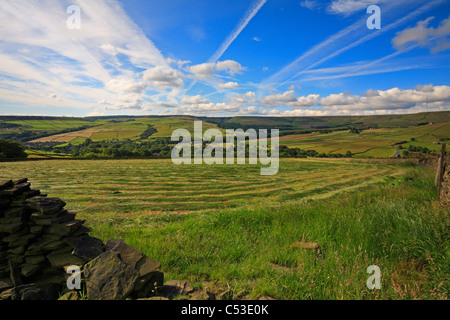 Gemähten Feld Silage und Blick Richtung Ramsden Clough in der Nähe von Holmfirth, West Yorkshire, Peak District National Park, England, UK. Stockfoto