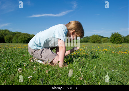 Junges Mädchen in t Shirt sitzt im Freiland auf Sommertag gelbe Butterblumen vor einem blauen Himmel betrachten. Stockfoto