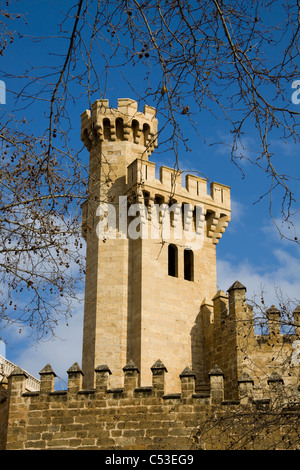 Türme Palau de L'Almudaina Palma Mallorca Stockfoto