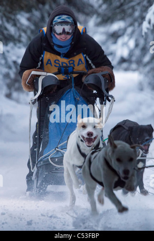 Musher Rennen in Lake Memorial Race Tozier Track, Anchorage, Alaska Yunan, Winter Stockfoto