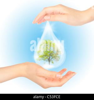 Tropfen Wasser mit Baum im Inneren und Hände. Das Symbol des grünen Planeten zu retten. Stockfoto