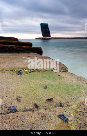 Seeverkehr Kontrollturm, Oeiras, Lissabon, Portugal, Europa Stockfoto