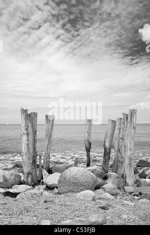 Skulptur aus Treibholz, Rügen, Mecklenburg-Western Pomerania, Deutschland, Europa Stockfoto