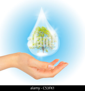 Tropfen Wasser mit Baum im Inneren und hand. Das Symbol des grünen Planeten zu retten. Stockfoto