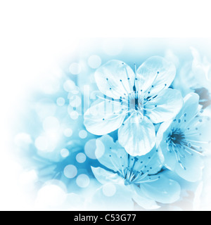 Blaue Blumen auf weißem Hintergrund Stockfoto