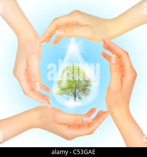 Tropfen Wasser mit Baum im Inneren und Hände. Das Symbol des grünen Planeten zu retten. Stockfoto