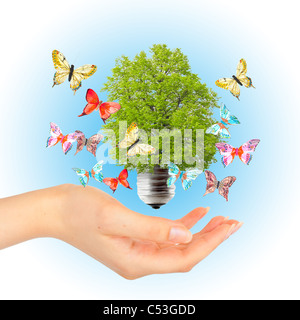 Hand und grüner Baum in Glühbirne. Alternative Energie-Konzept Stockfoto