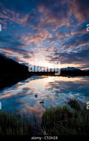 Morgenhimmel Nachdenken über einen Teich in der Nähe von Copper River Highway außerhalb von Cordova, Alaska Yunan, Frühling. HDR Stockfoto