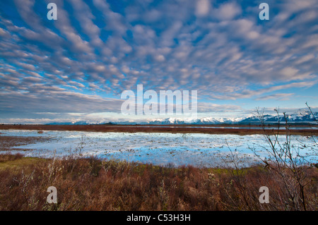 Cirrocumulus-Wolken über Alaganik slough in den Morgen, Chugach National Forest, Cordova, Alaska Yunan, Frühling Stockfoto