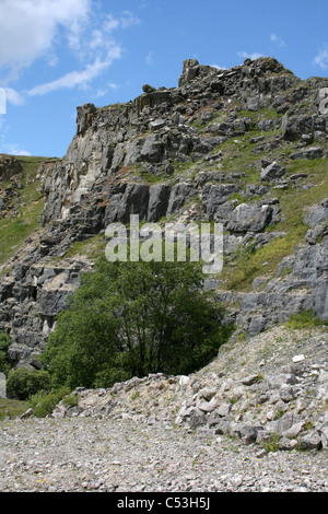 Minera Steinbruch in Wales, Großbritannien jetzt ein North Wales Wildlife Trust finden Stockfoto