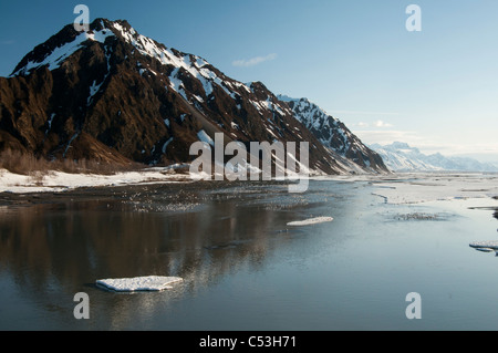 Tausende von Möwen und Frühling Eis versammeln sich auf der Copper River in der Nähe von Flagge Punkt, Chugach National Forest, Alaska, Frühling Stockfoto