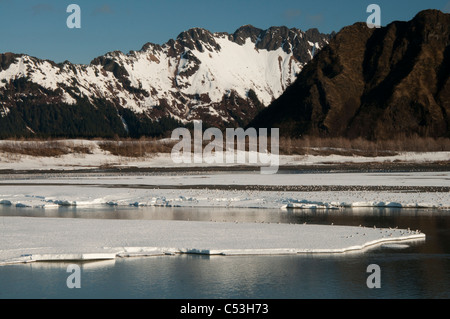 Frühling Eis und Tausende von Möwen schweben auf der Copper River, Chugach National Forest, Yunan Alaska, Frühling Stockfoto