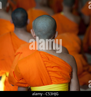 Neuling Mönche beten am Wat Sri Soda, Chiang Mai, Thailand Stockfoto