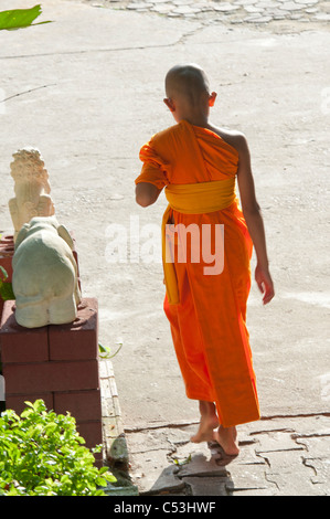 Novize im Wat Sri Soda, Chiang Mai, Thailand Stockfoto