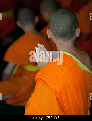 Neuling Mönche beten am Wat Sri Soda, Chiang Mai, Thailand Stockfoto