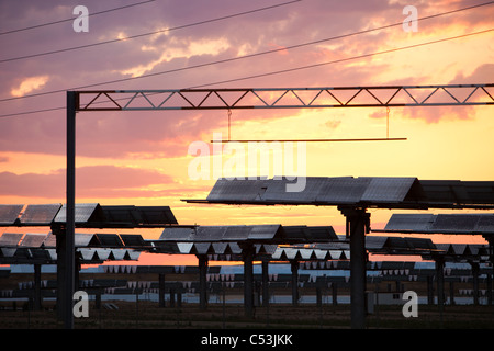 Photovoltaik-Module im Solucar solar Werk in Sanlucar la Mayor, Andalusien, Spanien. Stockfoto