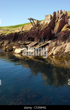 klare, blaue Meer und die felsige Küste bei South Haven Skokholm Insel Pembrokeshire South Wales UK Stockfoto