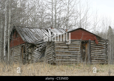 Alte verlassene Blockhaus in dem Land, umgeben von Bäumen und Ackerland.  Dach eingestürzt und einstürzenden Mauern. Stockfoto