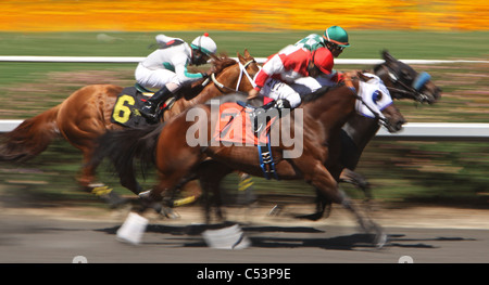 Motion Blur rendern von drei Jockeys und rassigen Pferden Stockfoto