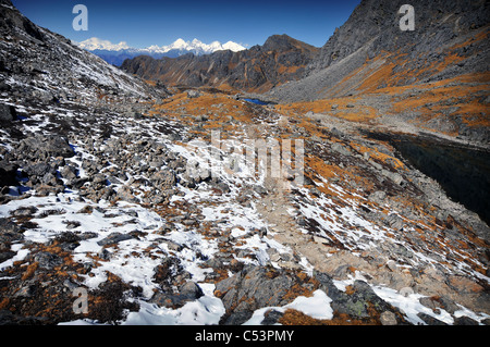 Eine Szene auf einer Wanderung in der Langtang-Tal in Nepal Stockfoto