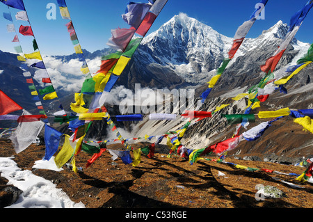 Eine Szene auf einer Wanderung in der Langtang-Tal in Nepal Stockfoto