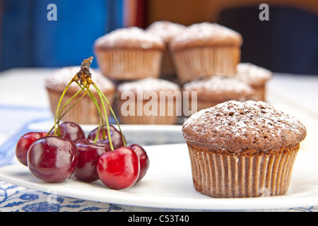 frisch gebackenes Schokoladen-Muffins mit Puderzucker bestreut Stockfoto