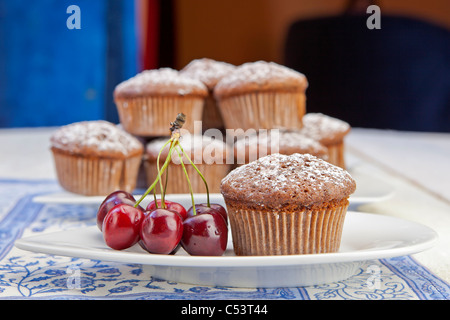 frisch gebackenes Schokoladen-Muffins mit Puderzucker bestreut Stockfoto