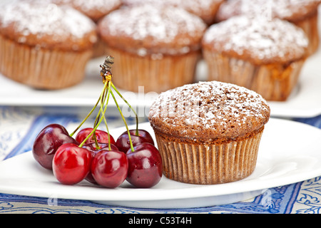 frisch gebackenes Schokoladen-Muffins mit Puderzucker bestreut Stockfoto