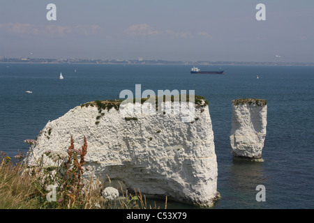 Alten Harry Rock Ballard Down Swanage Dorset Stockfoto