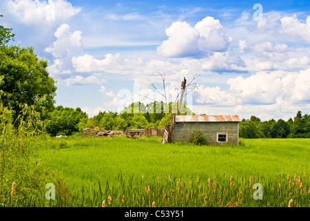 Einer kleinen, heruntergekommenen Hütte in einer üppigen, grünen Land Wiese gegen bewölkten, blauen Himmel. Stockfoto