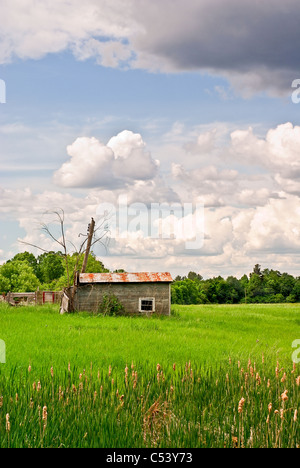 Ländliches Motiv eine kleine Bretterbude auf einer ruhigen Wiese. Stockfoto