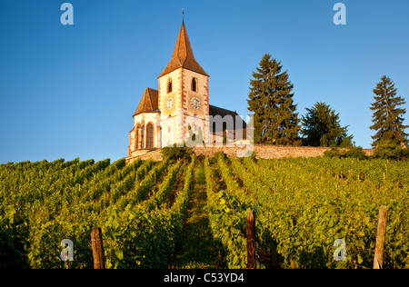 Morgendämmerung auf das 15. Jahrhundert Kirche von St. Jacques, umgeben von den Weinbergen des Grand Cru in Hunawihr, Elsass Frankreich Stockfoto